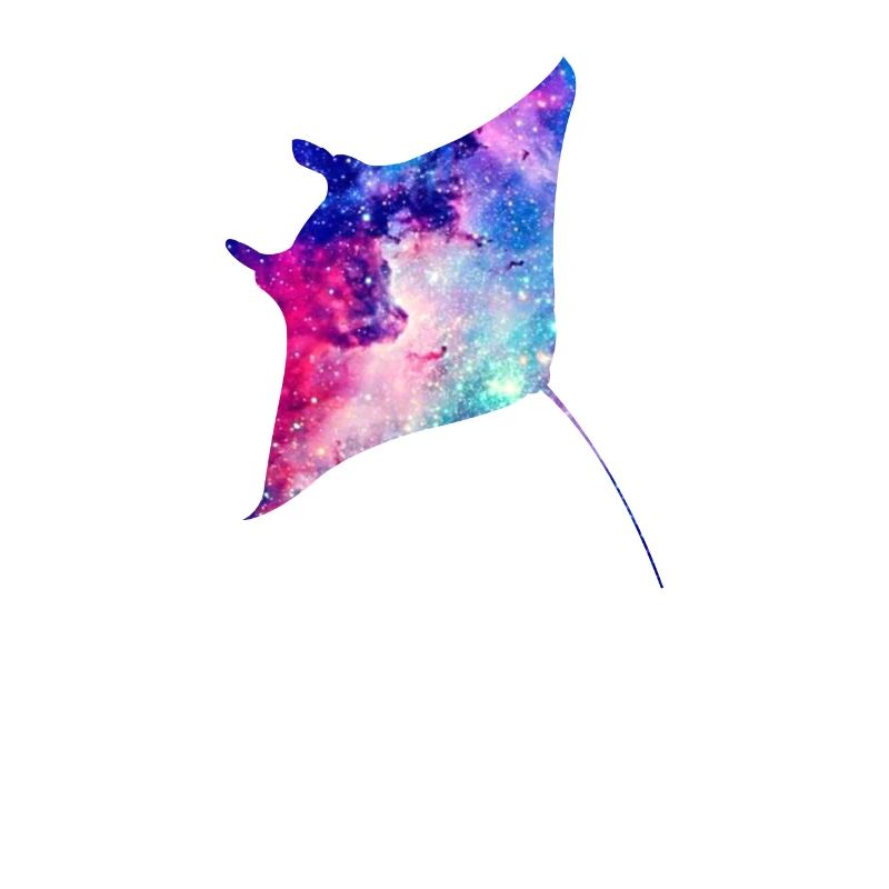 Manta Rays Galaxy Space Gift