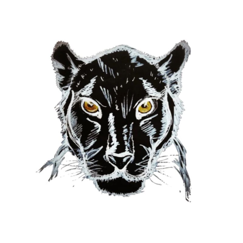 Black Panther