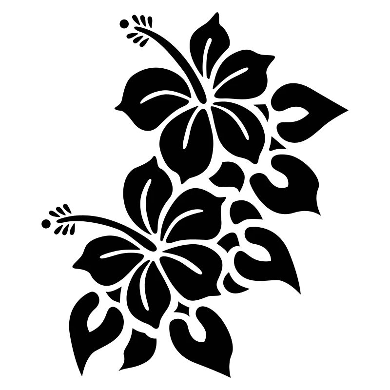hawaii