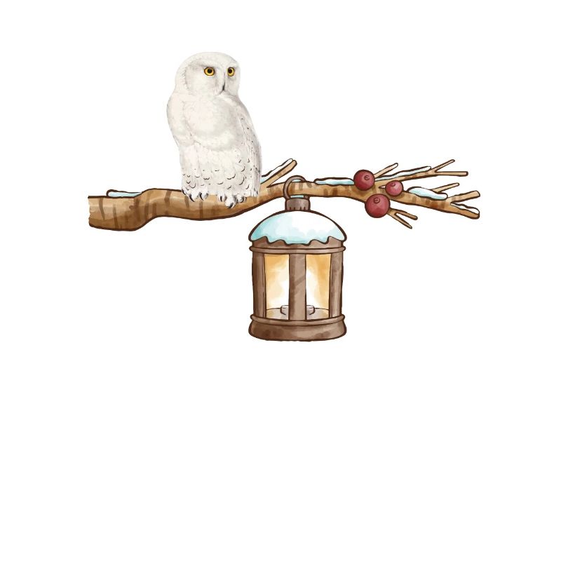 Winter-Eule Winter Owl