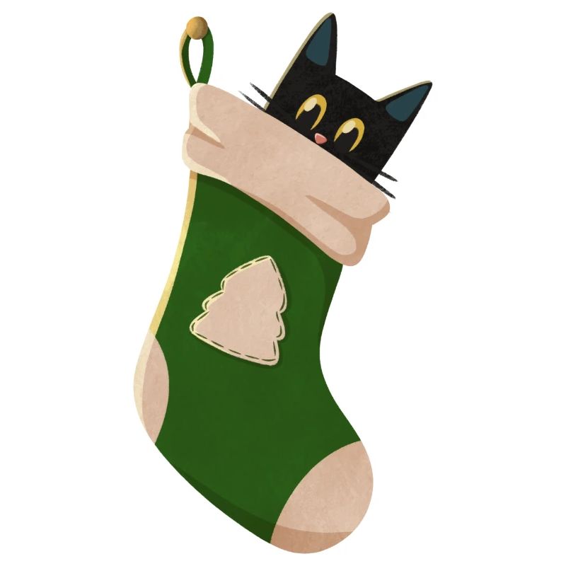 Cat in green boot