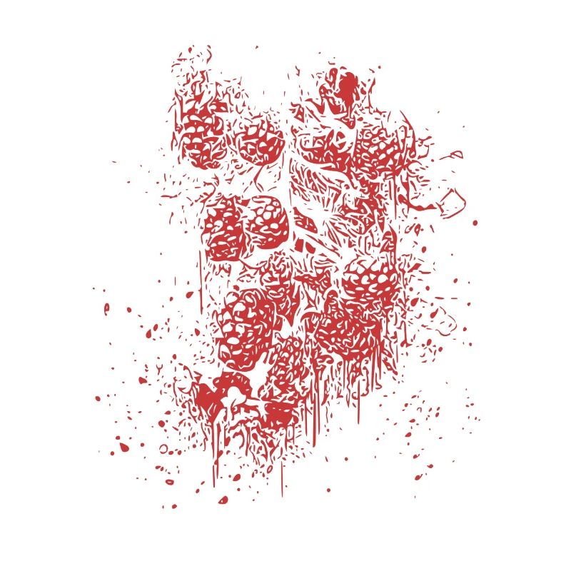 Abstract creative raspberries