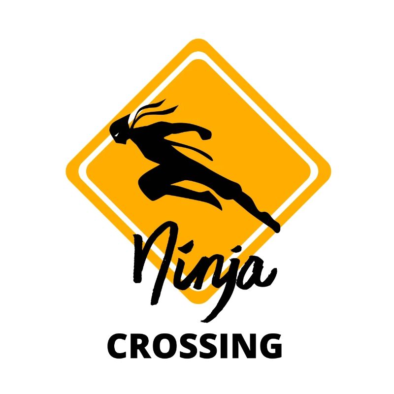Passage Ninja