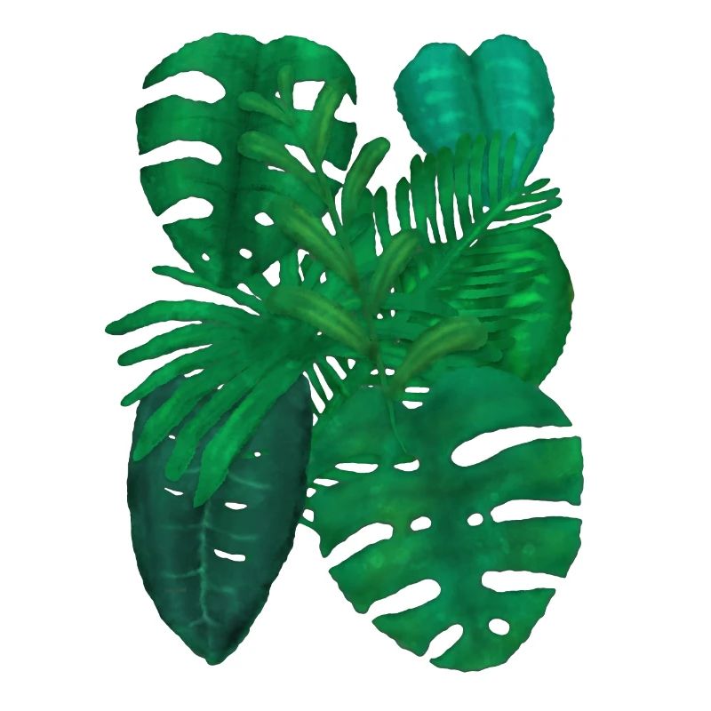 tropical plants