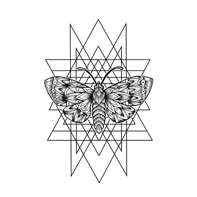 Moth geometry