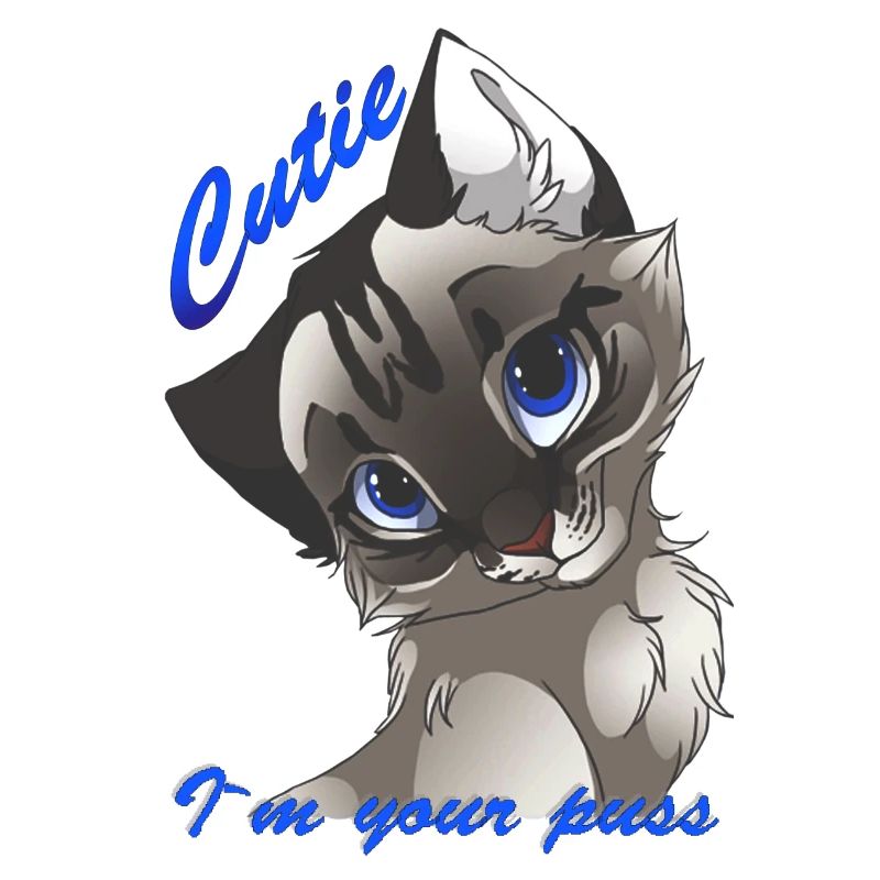 chat