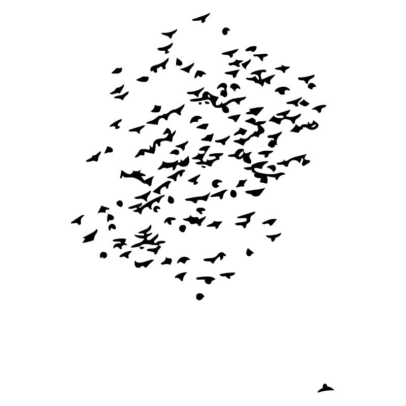 volée d'oiseaux