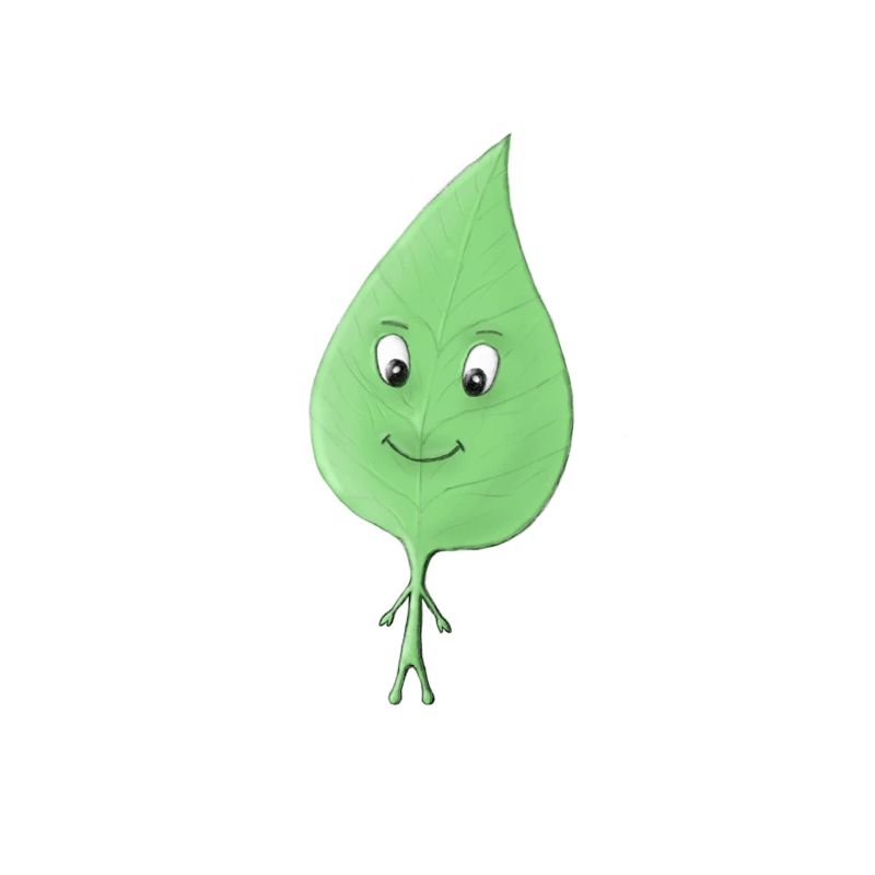 Leaf Boy