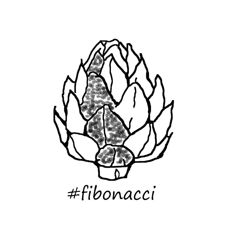 Fibonacci artichoke