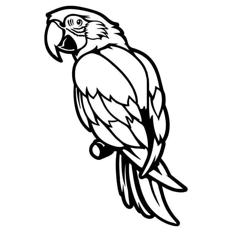 Parrot Animal Comic