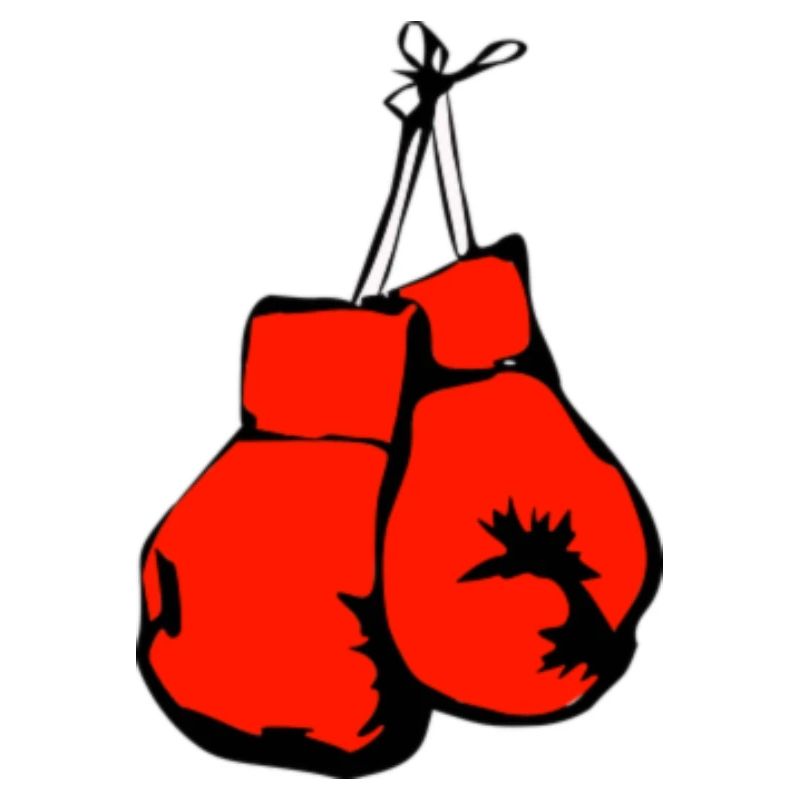 Boxhandschuhe