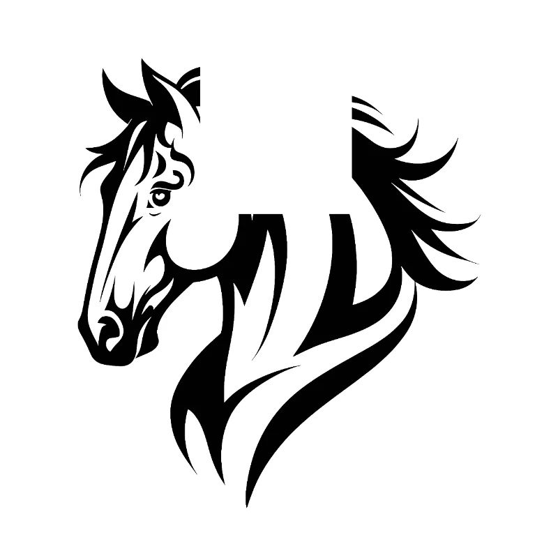 Cheval Équitation Équitation