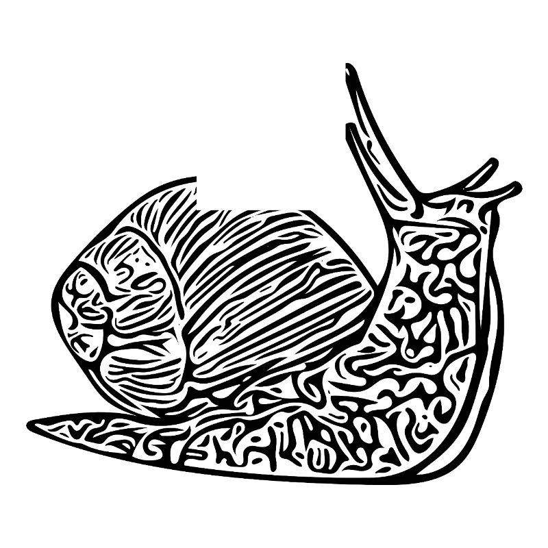 Escargot mignon avec maison