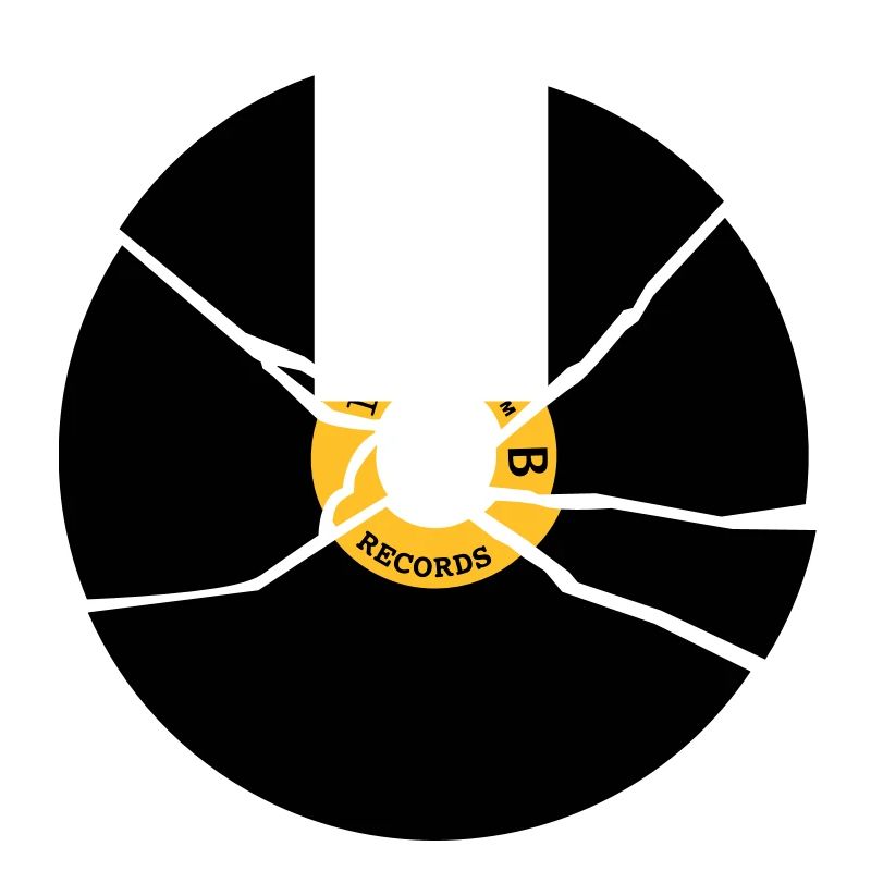 broken record vinyl cd