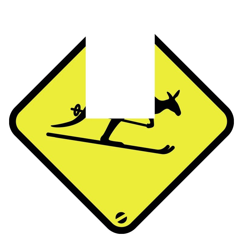 ski