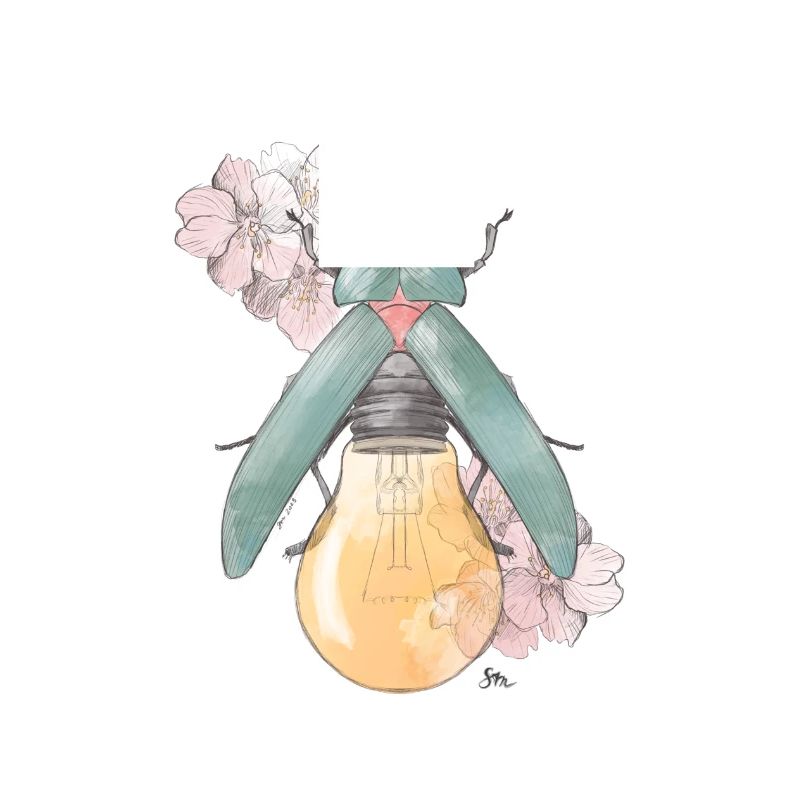 Birne | Blüte | Käferchen