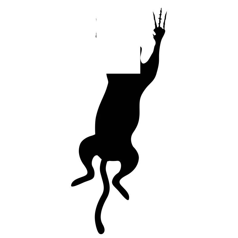cat scratch