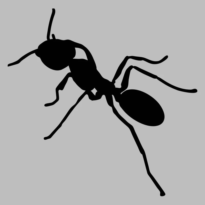 ant