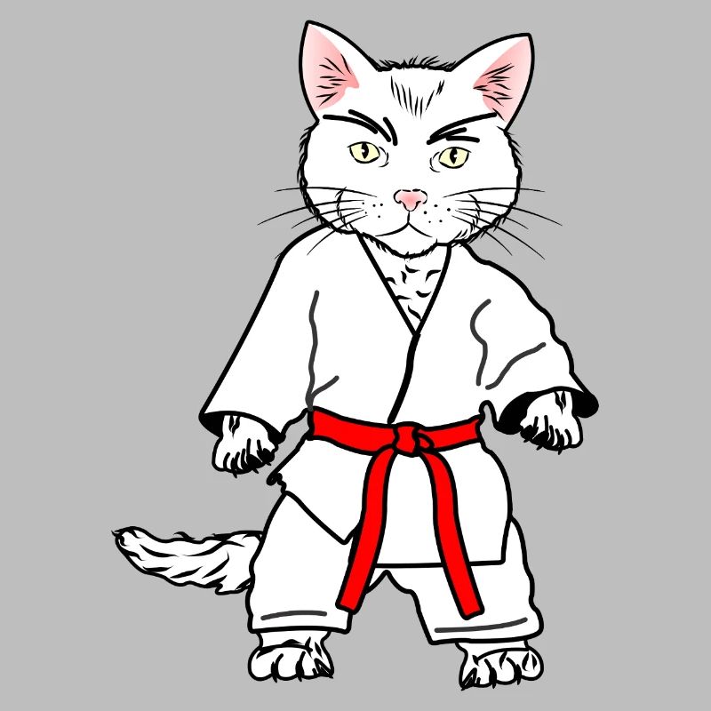 Chat de karaté blanc avec bande orange