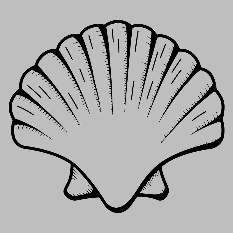 shell