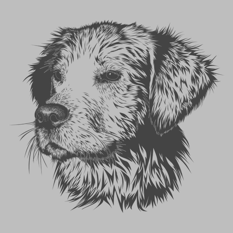 Hund