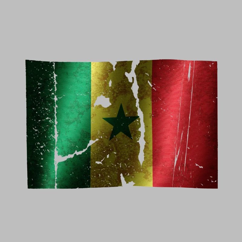 Drapeau du Sénégal cool vintage utilisé look sport