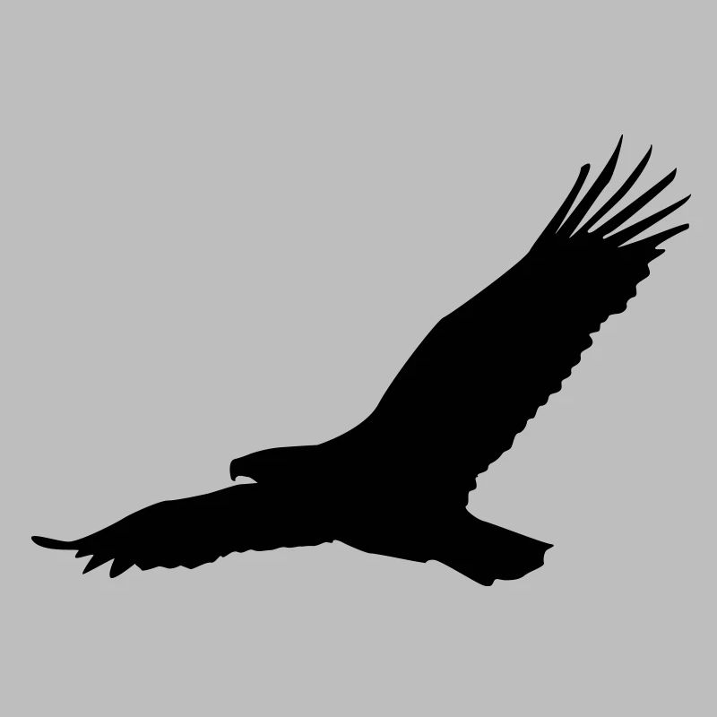 Adler