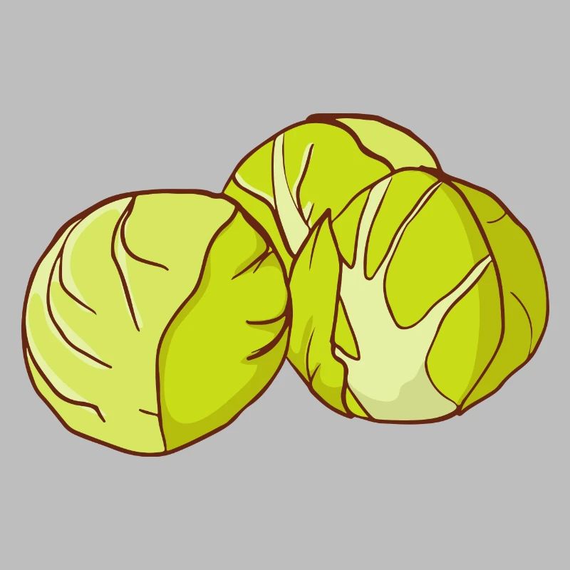 Brussels sprouts Brussels cabbage sprouts cabbage sprouts