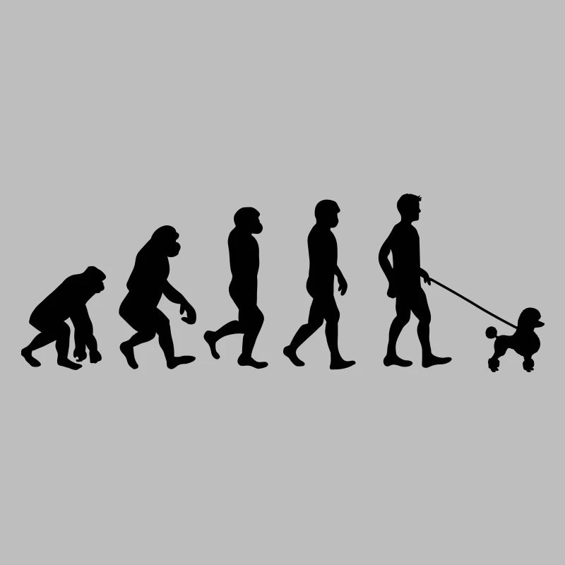 Pudel - Evolution