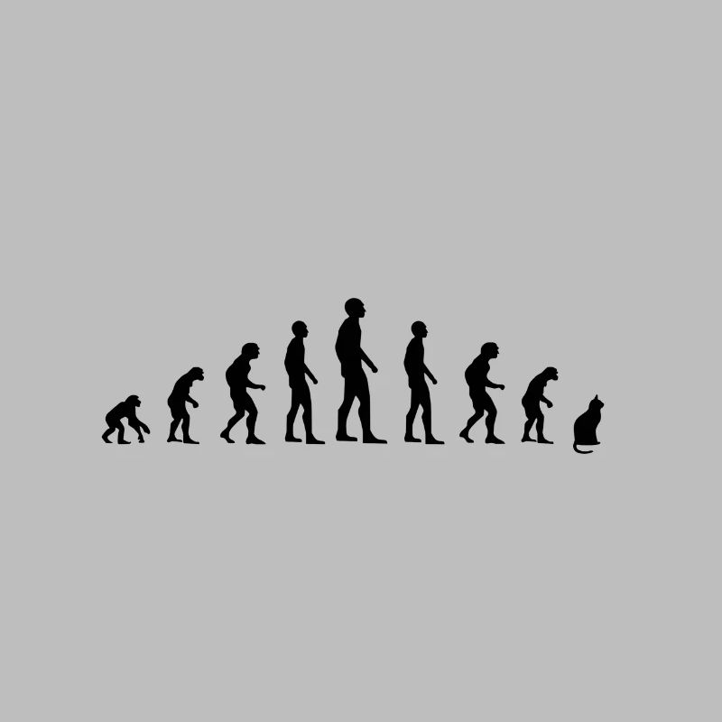 Évolution des chats