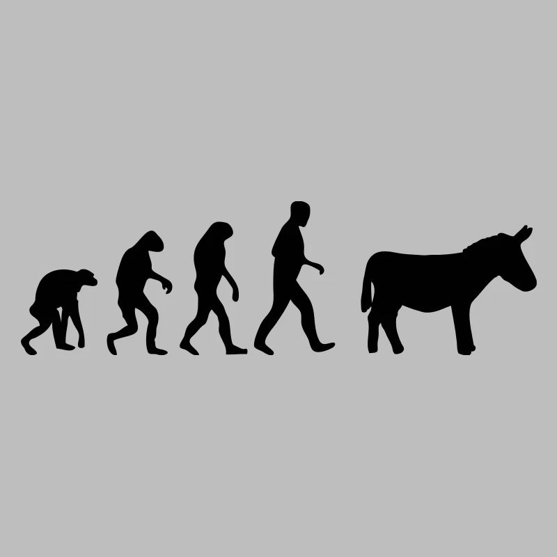 donkey evolution