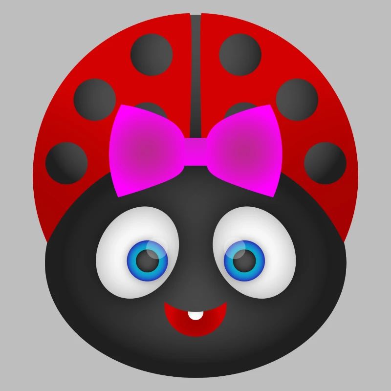 Marienkäfer - Ladybug ! Geschenk Idee !