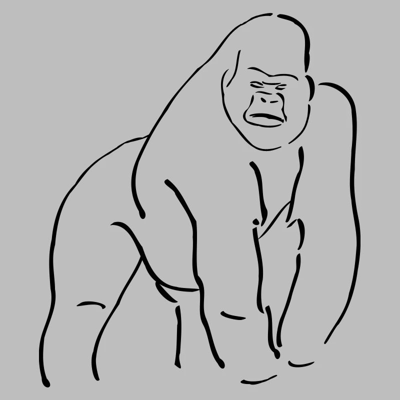 Collection singes