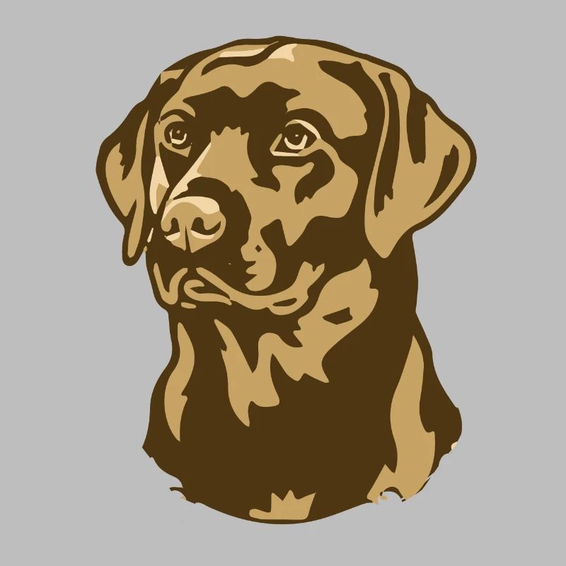 Evolution Of Golden Retrievers