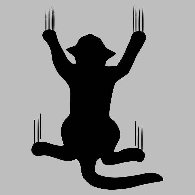 Scratchy cat scratching kitty cat funny animals