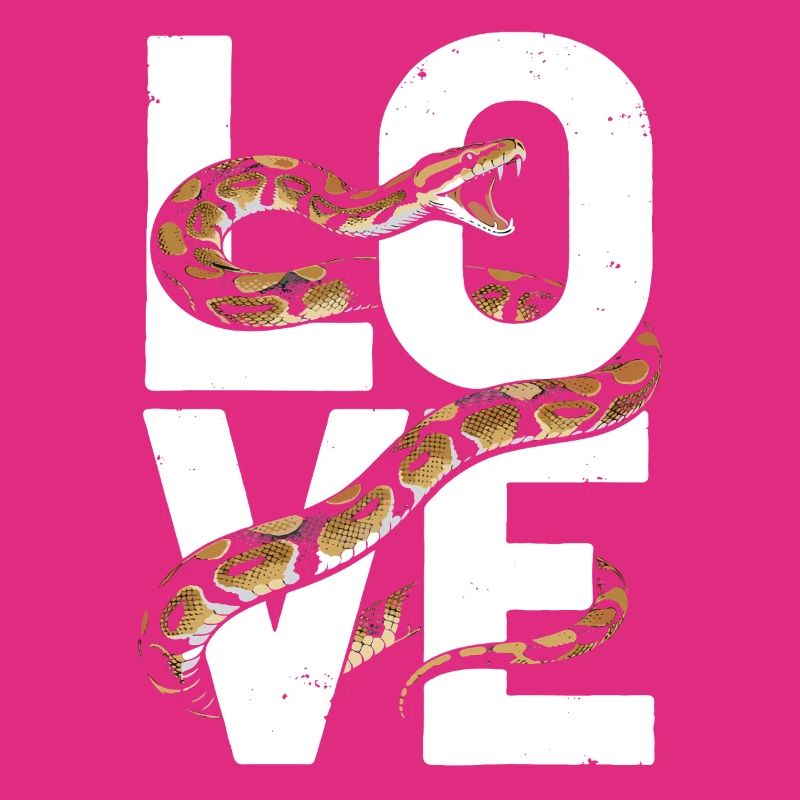 King Python Snakes LOVE Terrarium Python