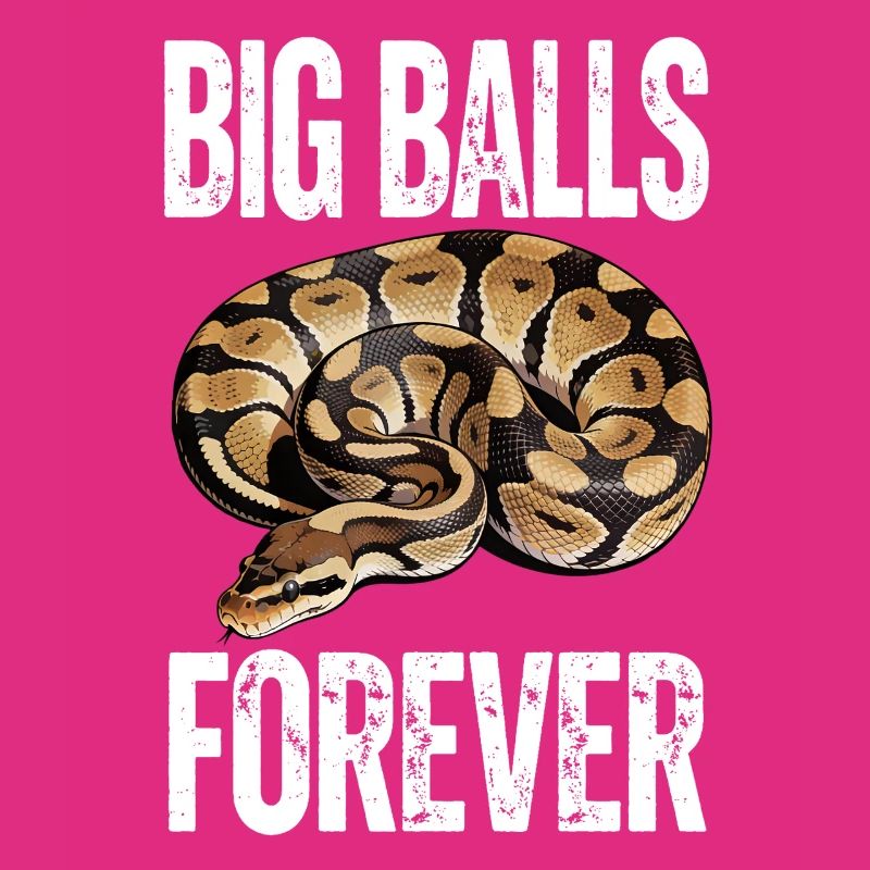 Python roi Serpents Amateurs de terrarium Python