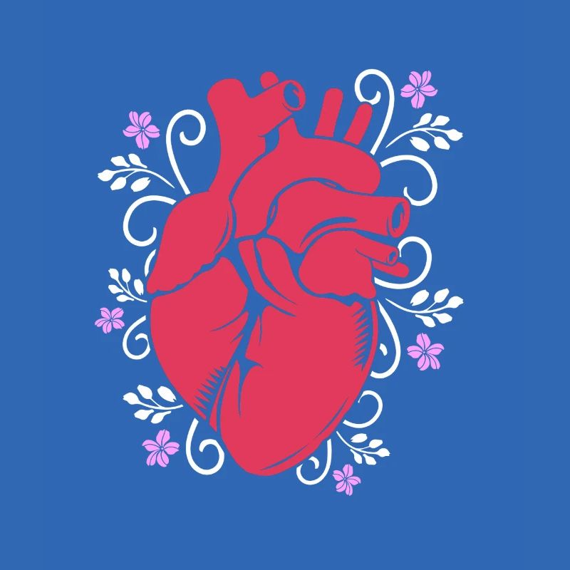 Cardiogramme, cardiographie, échographie, échographie