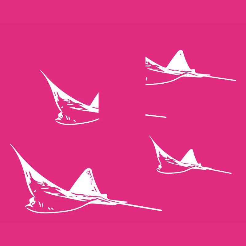 Formation de vol Eagle Ray
