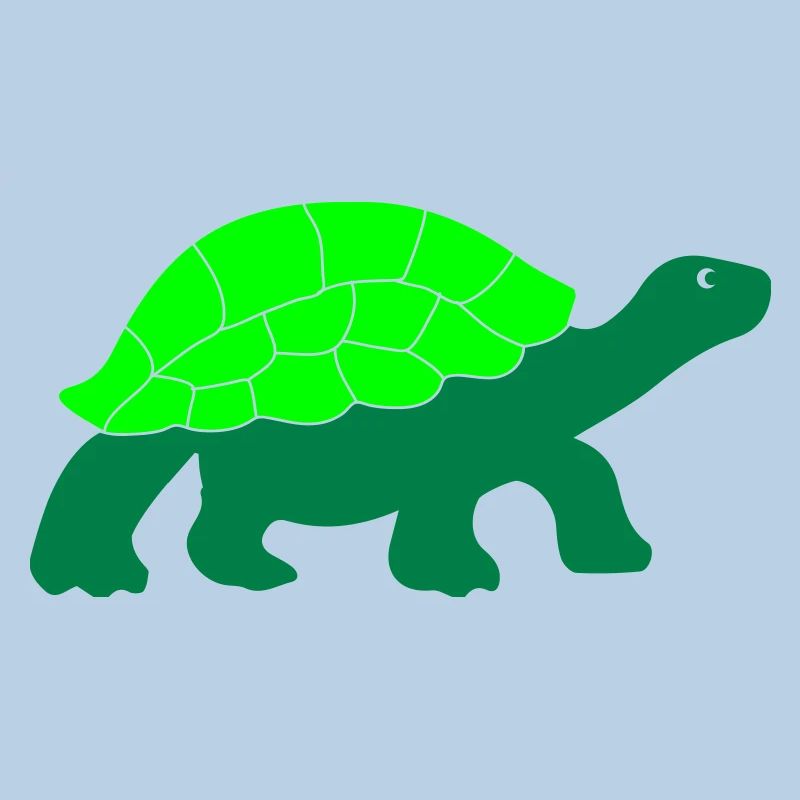 turtle
