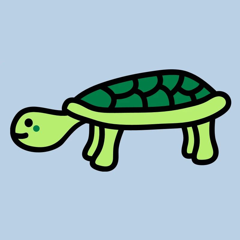 turtle