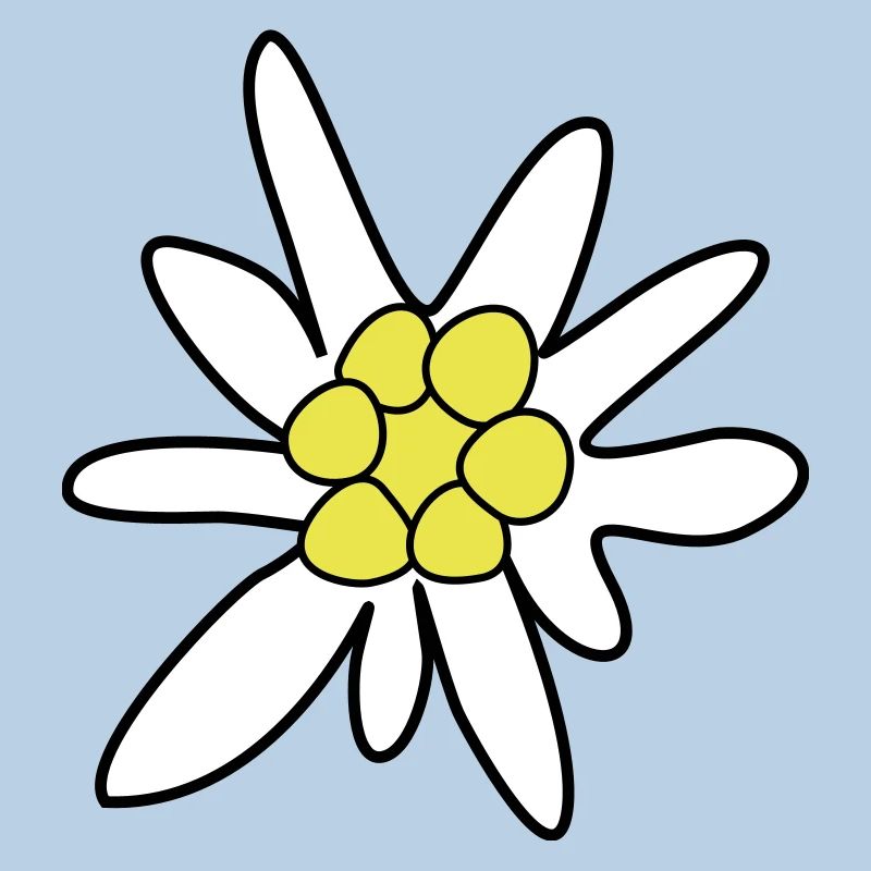 Edelweiss, ghosteweed