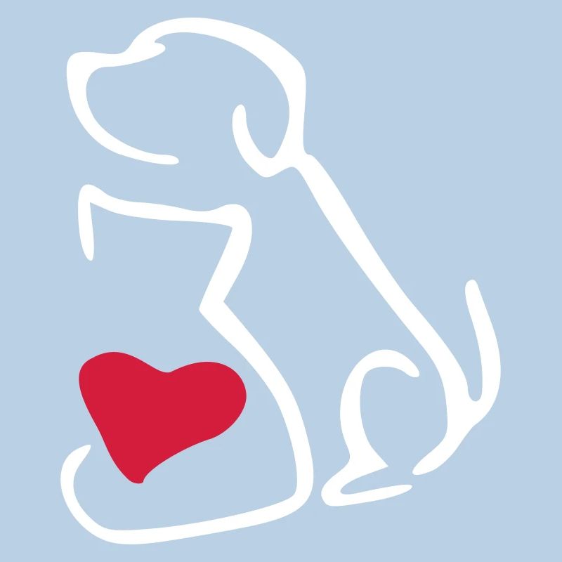 chat de chien amour