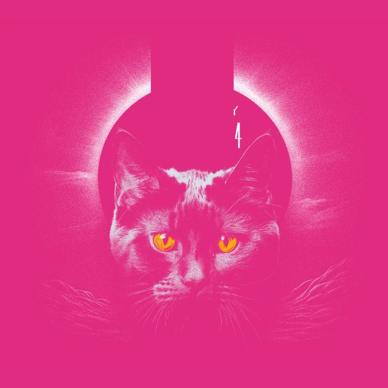 Cute Black Cat with Total Solar Eclipse 2024