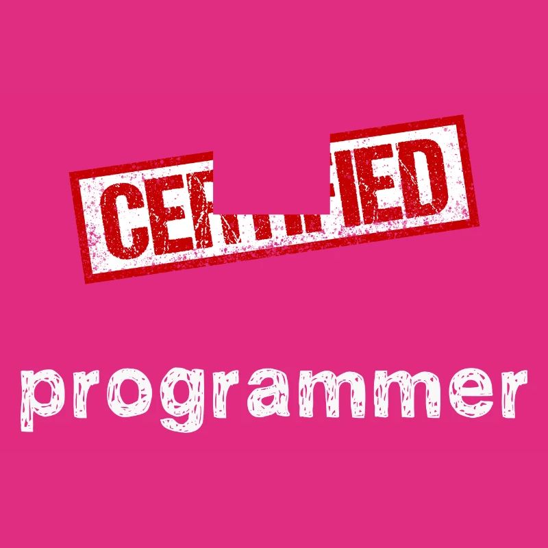 Programmeur