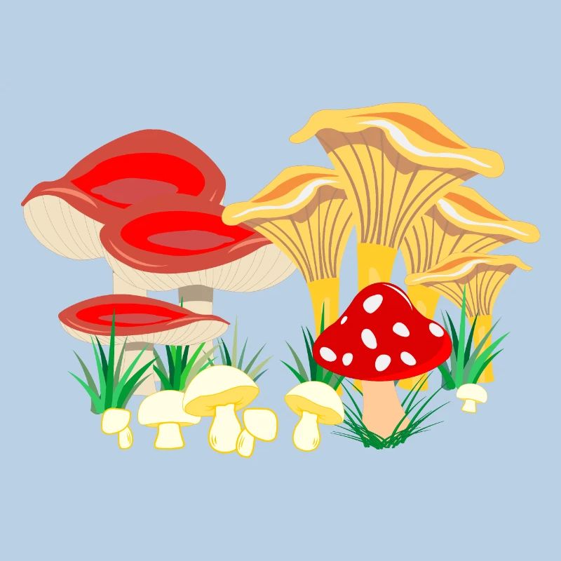 Composition colorée des champignons