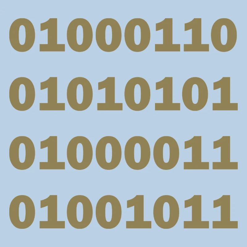 Binary Code Fuck
