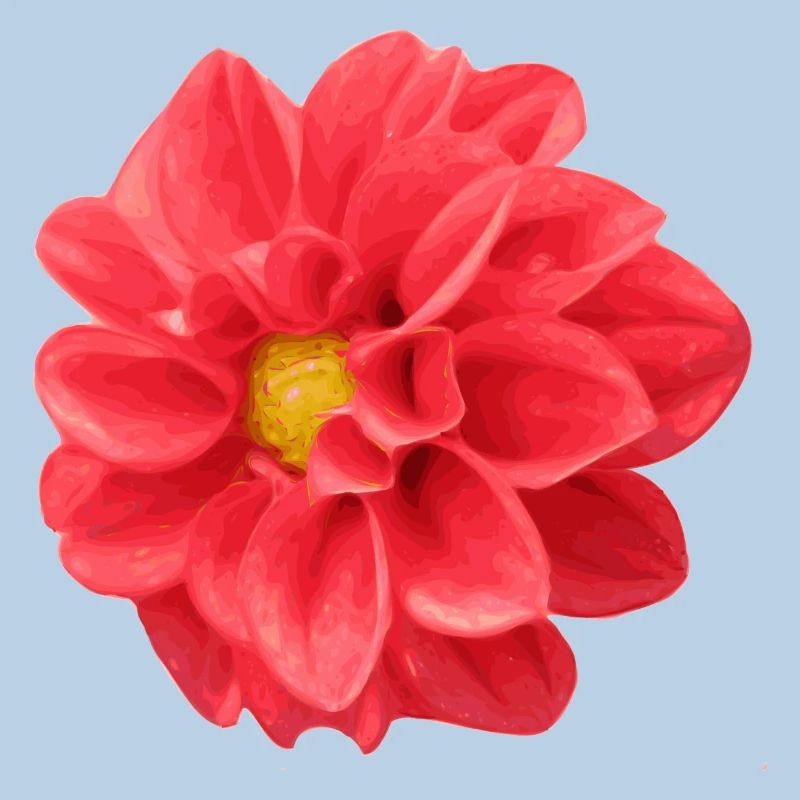 fleur
