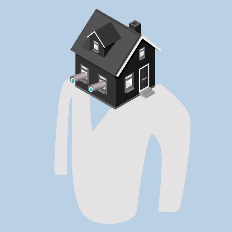 Cadeau de construction de maison d'observation