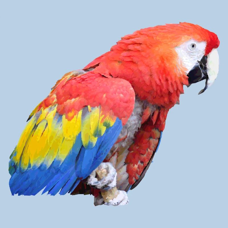 parrot